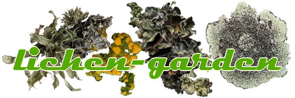 lichen-garden